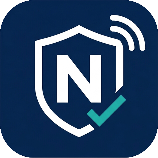 N巡查